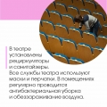 правила посещения5